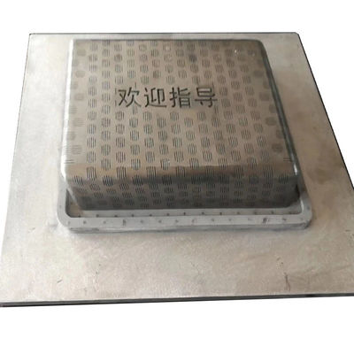 कस्टम प्लास्टिक इंजेक्शन ईपीटीयू ईपीएस मशीन मोल्ड