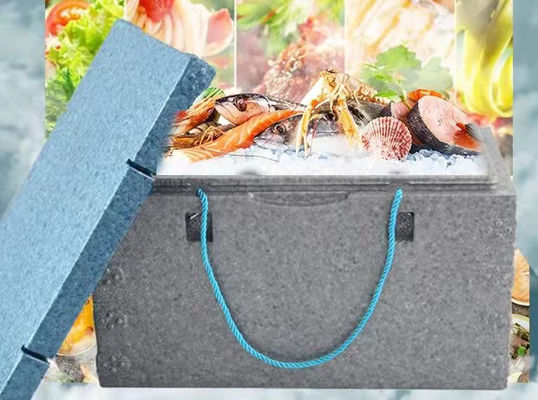 समुद्री भोजन और ताजे फल के लिए मछली बॉक्स ईपीपी ईपीएस मोल्ड 6063 एल्यूमिनियम मिश्र धातु